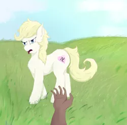 Size: 2500x2450 | Tagged: safe, artist:fdv.alekso, ponybooru import, oc, oc:aryanne, unofficial characters only, earth pony, human, dark skin, field, grass, grass field, hand, image, nazi, off screen character, png, swastika