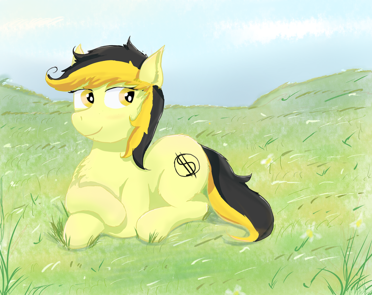 Size: 3400x2700 | Tagged: safe, artist:fdv.alekso, ponybooru import, oc, oc:leslie fair, unofficial characters only, earth pony, pony, chest fluff, field, grass, grass field, image, png, solo