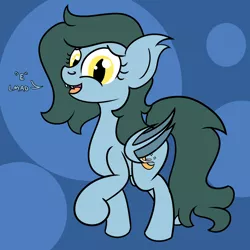 Size: 2000x2000 | Tagged: safe, artist:dafiltafish, derpibooru import, oc, oc:harvest moon, bat pony, pony, bat pony oc, bat wings, image, png, text, wings