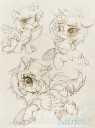 Size: 1627x2186 | Tagged: safe, artist:paipaishuaige, derpibooru import, oc, unofficial characters only, alicorn, pony, chest fluff, glasses, image, jpeg, solo, spread wings, traditional art, unshorn fetlocks, wings