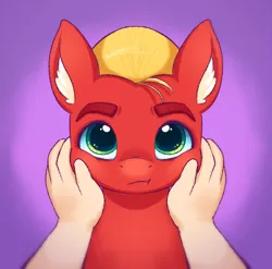 Size: 690x682 | Tagged: safe, artist:freyofelt, derpibooru import, sprout cloverleaf, earth pony, human, pony, cheek squish, disembodied hand, g5, hand, image, looking at you, male, png, purple background, simple background, squishy cheeks, stallion