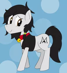 Size: 1568x1704 | Tagged: safe, artist:soccy, derpibooru import, oc, oc:double m, unofficial characters only, earth pony, pony, bell, bell collar, black mane, black tail, brown eyes, clothes, collar, cutie mark, derpibooru exclusive, earth pony oc, image, jacket, male, png, simple background, solo, solo male, stallion, tail, white coat