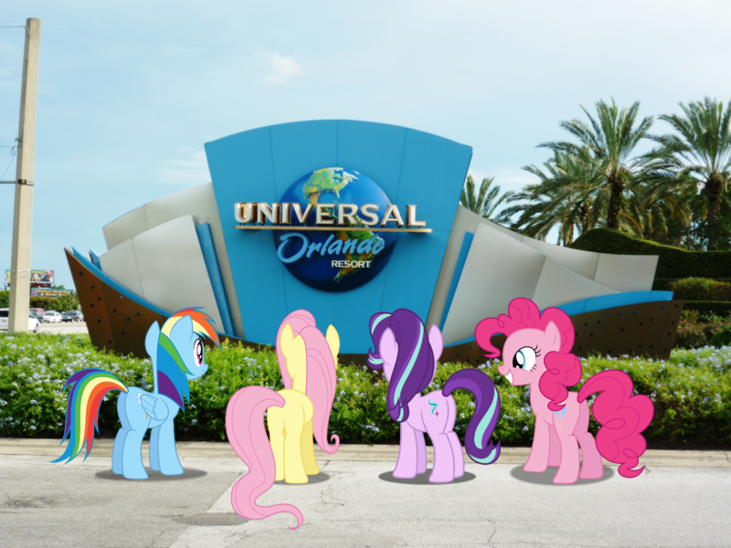 Size: 1600x1200 | Tagged: safe, artist:dashiesparkle, derpibooru import, fluttershy, pinkie pie, rainbow dash, starlight glimmer, earth pony, pegasus, pony, female, florida, image, irl, mare, orlando, photo, png, ponies in real life