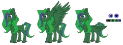 Size: 6472x2371 | Tagged: safe, artist:tizhonolulu, derpibooru import, oc, oc:brocc, pegasus, image, png, reference, reference sheet, solo, wings