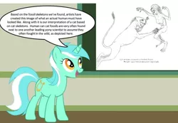 Size: 1284x888 | Tagged: safe, derpibooru import, lyra heartstrings, cat, human, pony, unicorn, fossil, human studies101 with lyra, image, meme, png