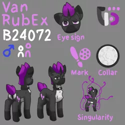 Size: 3000x3000 | Tagged: safe, artist:vohd, derpibooru import, oc, oc:vanrubex, unofficial characters only, pony, unicorn, collar, image, png, reference sheet, simple background