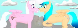 Size: 6951x2535 | Tagged: safe, artist:aurora_s, derpibooru import, oc, oc:love net, oc:wonder stream, pegasus, pony, blushing, boop, cliff, cloud, cutie mark, day, derpibooru exclusive, gay, image, looking at each other, looking at someone, male, noseboop, pegasus oc, png, sky, stallion, wings