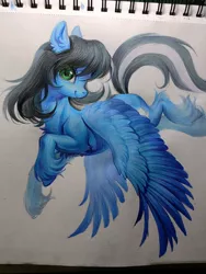 Size: 1536x2048 | Tagged: safe, artist:paipaishuaige, derpibooru import, oc, unofficial characters only, pegasus, pony, chest fluff, flying, image, jpeg, looking at you, smiling, solo, spread wings, traditional art, unshorn fetlocks, wings