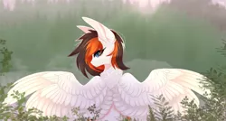 Size: 3264x1751 | Tagged: safe, artist:elektra-gertly, derpibooru import, oc, oc:rainy sky, unofficial characters only, pegasus, pony, back fluff, commission, female, forest, image, large wings, looking back, mare, png, solo, spread wings, tree, wings, ych result