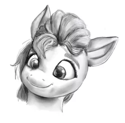 Size: 1280x1258 | Tagged: safe, artist:nedemai, derpibooru import, sunny starscout, earth pony, pony, bust, female, g5, image, jpeg, mare, monochrome, portrait, simple background, smiling, solo