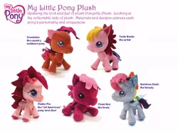 Size: 700x528 | Tagged: safe, derpibooru import, official, cheerilee (g3), pinkie pie, rainbow dash (g3), scootaloo (g3), toola roola, earth pony, original species, plush pony, pony, american, big head, chibi, concept, discoloration, g3, g3.5, image, jpeg, logo, merchandise, missing cutie mark, no iris, plushie, ponyville (g3), prototype, toy, wrong coat color, wrong color
