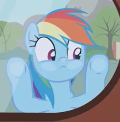 Size: 523x534 | Tagged: safe, artist:agrol, derpibooru import, rainbow dash, pegasus, pony, adorkable, against glass, choose your wings, cropped, cute, dashabetes, dork, female, glass, glass window, image, looking at something, mare, png, solo