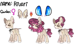 Size: 4000x2364 | Tagged: safe, artist:enifersuch, derpibooru import, oc, unofficial characters only, earth pony, pony, bald, base used, earth pony oc, female, image, png, reference sheet, simple background, transparent background