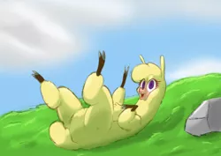 Size: 3048x2160 | Tagged: safe, artist:hitsuji, derpibooru import, alpaca, them's fightin' herds, cloven hooves, community related, fluffy, grass, image, lying down, on back, paprika (tfh), png, rock, solo