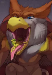 Size: 1321x1878 | Tagged: suggestive, artist:nevolsky, derpibooru import, oc, oc:lemon drop, oc:peregrine, unofficial characters only, anthro, gryphon, pony, beak, drool, female, image, imminent vore, male, maw, mawshot, micro, open mouth, png, throat, tongue out, vore, wings