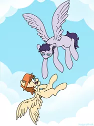 Size: 1500x2000 | Tagged: safe, artist:bloodysticktape, derpibooru import, pegasus, image, png