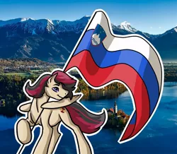 Size: 936x816 | Tagged: safe, derpibooru import, oc, oc:porsche speedwings, pony, flag, image, irl, jpeg, lake bled, photo, ponies in real life, slovenia, solo