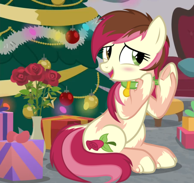 Size: 1008x949 | Tagged: safe, artist:anonymous, derpibooru import, roseluck, earth pony, human, pony, blushing, chair, christmas, christmas tree, collar, eye color change, flower, holiday, human to pony, image, png, present, rose, solo, transformation, tree