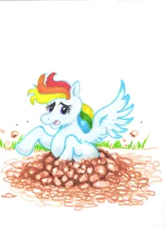 Size: 1700x2338 | Tagged: safe, artist:dalek-hal, derpibooru import, rainbow dash, pegasus, pony, female, grass, hole, image, jpeg, mud, quicksand, sinking, solo, stuck