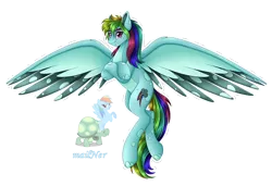 Size: 5860x4008 | Tagged: safe, artist:mailner, derpibooru import, rainbow dash, tank, pony, fusion, image, looking at you, png, redesign, simple background, smiling, solo, spread wings, transparent background, wings