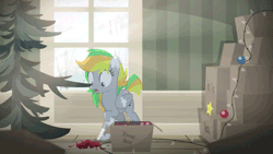 Size: 640x360 | Tagged: safe, artist:brutalweather studio, derpibooru import, oc, oc:odd inks, unofficial characters only, pegasus, pony, animated, box, broken glass, christmas, christmas lights, christmas tree, coat markings, cute, eye shimmer, female, folded wings, gif, holiday, image, loop, mare, mouth hold, multicolored mane, multicolored tail, ornament, pegasus oc, purple eyes, raised hoof, show accurate, shrunken pupils, solo, standing, tail, tree, window, wings