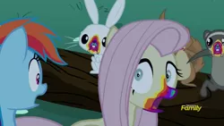 Size: 2560x1440 | Tagged: safe, derpibooru import, edit, edited screencap, screencap, angel bunny, fluttershy, rainbow dash, pony, 28 pranks later, cookie zombie, discovery family, discovery family logo, image, logo, png, rainbow muzzle, upscaled, waifu2x