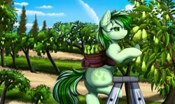 Size: 3517x2095 | Tagged: safe, artist:pridark, derpibooru import, oc, unofficial characters only, earth pony, pony, cloud, commission, cutie mark, earth pony oc, food, image, ladder, orchard, outdoors, pear, png, sky, smiling, solo