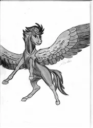 Size: 1275x1752 | Tagged: safe, artist:silbernepegasus, derpibooru import, oc, pegasus, image, jpeg, solo