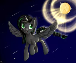 Size: 1280x1048 | Tagged: safe, artist:appleneedle, derpibooru import, oc, oc:renarde-louve, alicorn, fly, insect, pony, art, character, digital, draw, drawing, fanart, image, jpeg, moon, night, night sky, paint, painting, sky, stars