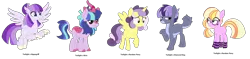 Size: 2112x499 | Tagged: safe, artist:tragedy-kaz, derpibooru import, oc, unofficial characters only, alicorn, classical hippogriff, diamond dog, earth pony, hippogriff, hybrid, kirin, pony, alicorn oc, base used, clothes, earth pony oc, female, glasses, group, horn, image, male, mare, parent:twilight sparkle, parents:canon x oc, png, simple background, smiling, socks, stallion, striped socks, transparent background, wings, worried