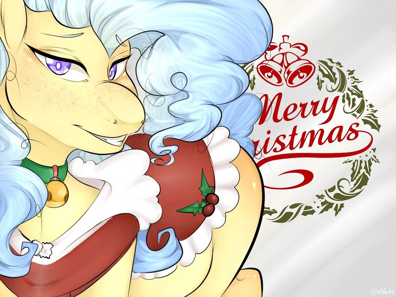 Size: 1600x1200 | Tagged: safe, artist:miphassl, derpibooru import, oc, oc:bb-shay, unofficial characters only, earth pony, pony, christmas, happy, holiday, image, jpeg, offscreen character, outfit, pov, smiling, solo