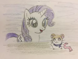 Size: 1024x768 | Tagged: safe, artist:pinkduskstone, derpibooru import, rarity, hamster, pony, unicorn, hamtaro, image, jpeg, pashmina, traditional art, voice actor joke