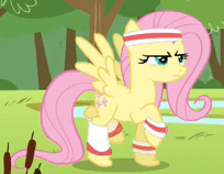 Size: 204x158 | Tagged: safe, derpibooru import, screencap, fluttershy, pegasus, pony, hurricane fluttershy, season 2, animated, female, gif, gif for breezies, image, loop, mare, outdoors, picture for breezies, pink mane, pink tail, shadow, solo, spread wings, sweatband, tail, wings