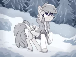 Size: 2160x1620 | Tagged: safe, artist:tizhonolulu, derpibooru import, oc, oc:sigma dash, pegasus, pony, clothes, image, png, present, snow, solo, walking