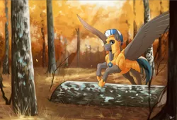 Size: 4092x2775 | Tagged: safe, artist:royvdhel-art, derpibooru import, oc, oc:cloud zapper, unofficial characters only, pegasus, pony, armor, flying, forest, helmet, image, male, pegasus oc, png, royal guard, smiling, stallion, tree, wings
