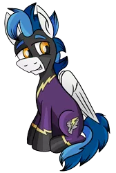 Size: 846x1260 | Tagged: safe, artist:whirlwindflux, derpibooru import, oc, oc:whirlwind flux, unofficial characters only, pegasus, pony, derpibooru community collaboration, 2022 community collab, clothes, costume, digital art, image, male, png, shadowbolts, shadowbolts costume, simple background, solo, stallion, transparent background