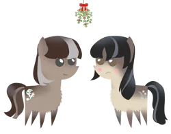Size: 1024x800 | Tagged: safe, artist:anonymous, oc, oc:cold shoulder, oc:winter wonder, unofficial characters only, pony, taiga pony, blushing, female, females only, image, mare, mistletoe, png, simple background, transparent background