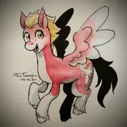 Size: 2048x2048 | Tagged: safe, artist:taritoons, derpibooru import, ponified, pegasus, pony, image, jpeg, nation ponies, poland, solo, traditional art