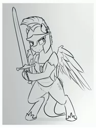 Size: 3000x4000 | Tagged: safe, artist:toanderic, derpibooru import, oc, oc:elusive shield, unofficial characters only, pegasus, pony, armor, helmet, image, jpeg, male, night guard, night guard armor, on hind legs, stallion, sword, weapon