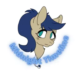 Size: 500x500 | Tagged: safe, artist:princessmoonlight, derpibooru import, oc, oc:midnight timeline, earth pony, badge, bust, curve text, green eyes, image, jewelry, necklace, png, portrait