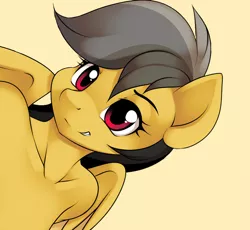 Size: 804x741 | Tagged: suggestive, artist:kloudmutt, derpibooru import, daring do, anthro, pegasus, fanfic, cropped, fanfic art, fanfic cover, female, image, png, smiling, solo, solo female, story in the source