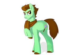 Size: 1280x900 | Tagged: safe, artist:faith-wolff, derpibooru import, oc, oc:chocolatemint, unofficial characters only, earth pony, clothes, earth pony oc, image, magnifying glass, png, scarf