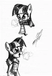 Size: 2193x3192 | Tagged: safe, artist:nightshadow154, derpibooru import, twilight sparkle, pony, clothes, image, jpeg, scarf, solo, traditional art