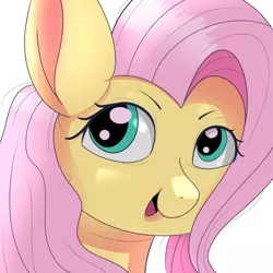 Size: 1080x1080 | Tagged: safe, artist:杏银花开, derpibooru import, fluttershy, pegasus, image, looking at you, png