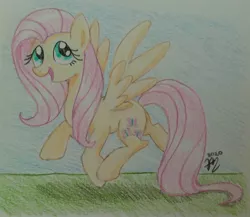 Size: 1260x1093 | Tagged: safe, artist:prinrue, derpibooru import, fluttershy, image, jpeg, prancing, shadow, signature, smiling, solo, spread wings, traditional art, wings