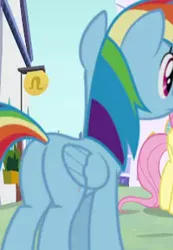 Size: 240x346 | Tagged: safe, derpibooru import, edit, edited screencap, screencap, fluttershy, rainbow dash, pegasus, pony, the ending of the end, butt, cropped, female, image, plot, png, rainbutt dash, rear view, solo, solo focus, youtube, youtube link