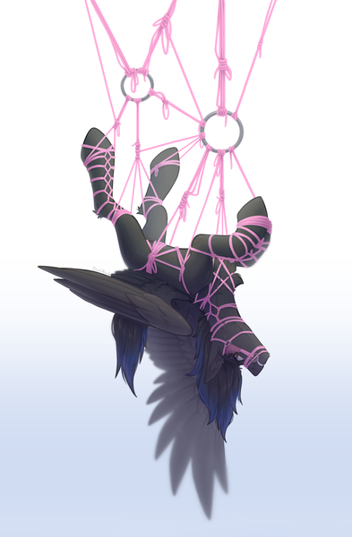 Size: 4134x6314 | Tagged: suggestive, artist:dorkmark, derpibooru import, oc, oc:shadowguy, pegasus, pony, absurd resolution, bit, blinders, bondage, bridle, image, png, rope, rope bondage, shibari, solo, suspended, suspension bondage, tack, upside down