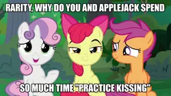 Size: 1920x1080 | Tagged: episode needed, safe, derpibooru import, edit, edited screencap, screencap, apple bloom, scootaloo, sweetie belle, earth pony, pegasus, pony, unicorn, caption, female, filly, image, image macro, implied lesbian, implied rarijack, implied shipping, png, text, trio, trio female