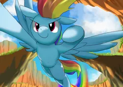 Size: 1024x724 | Tagged: safe, artist:neoshrek, derpibooru import, rainbow dash, pegasus, pony, belly button, female, flying, image, jpeg, mare, rainbow trail, solo, worm's eye view