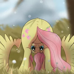 Size: 1080x1080 | Tagged: safe, artist:杏银花开, derpibooru import, fluttershy, pegasus, pony, both cutie marks, butt, flutterbutt, image, looking at you, looking between legs, plot, png, upside down
